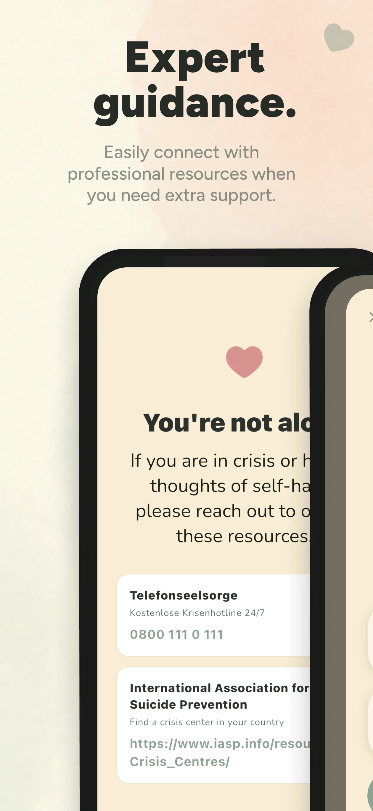 Crisis resources and professional support connections